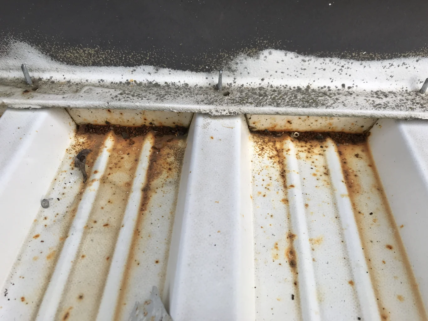 IMG_0390-f56de46e